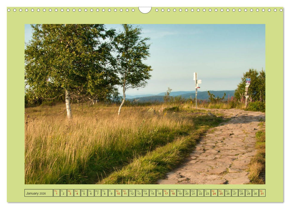 Wonderful Black Forest (CALVENDO Monthly Calendar 2026)