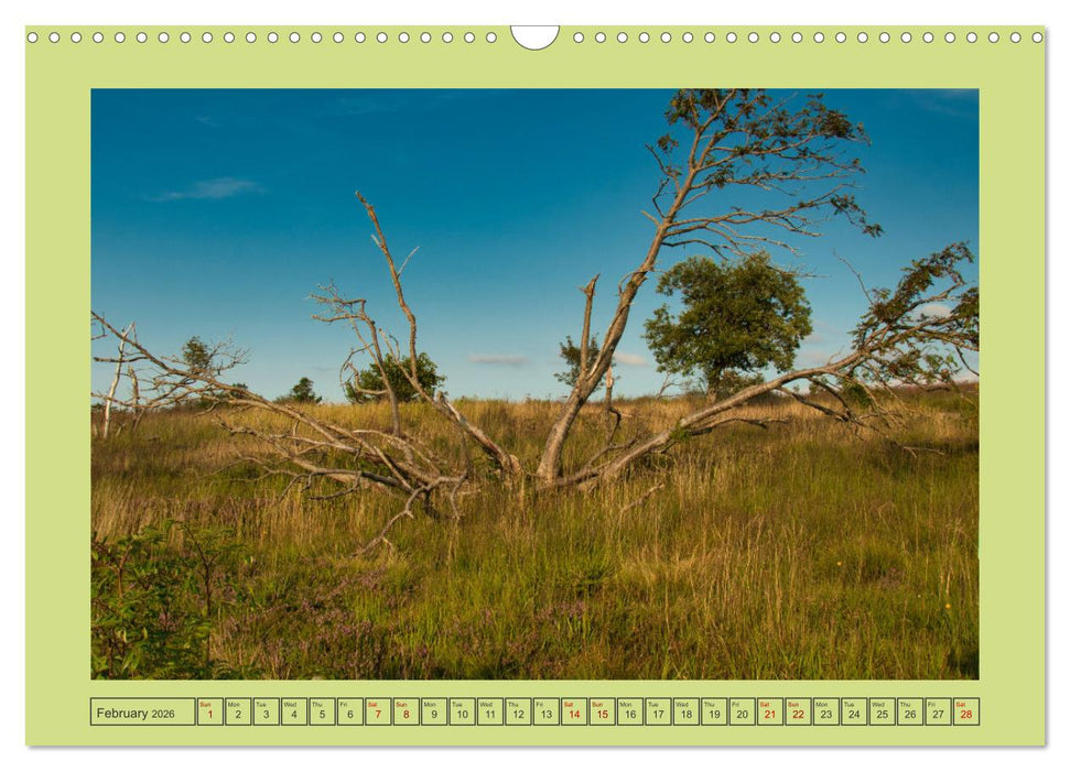 Wonderful Black Forest (CALVENDO Monthly Calendar 2026)