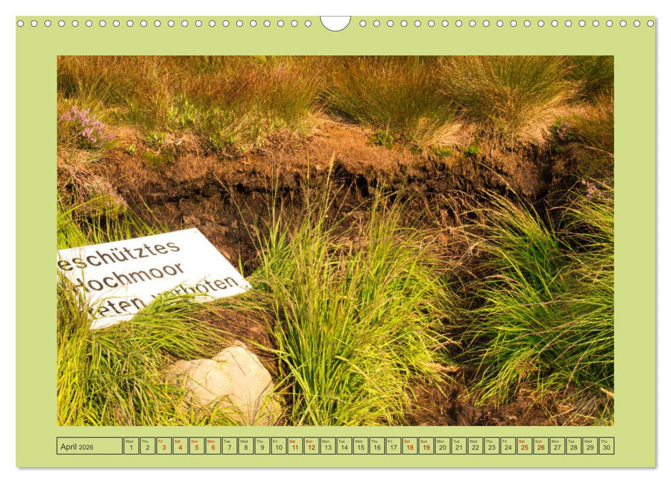 Wonderful Black Forest (CALVENDO Monthly Calendar 2026)