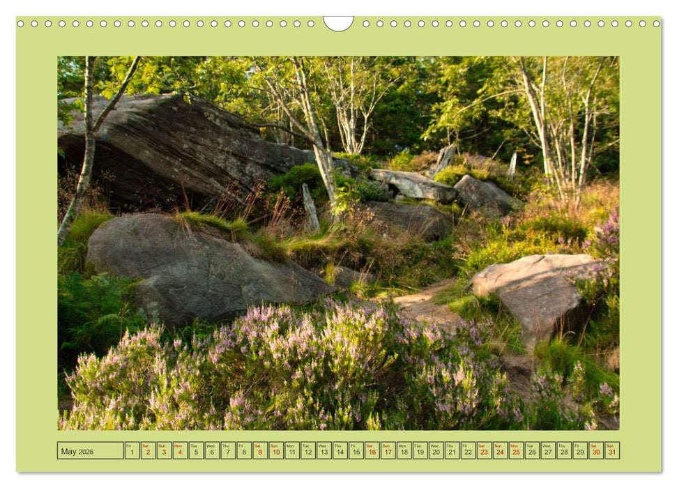 Wonderful Black Forest (CALVENDO Monthly Calendar 2026)