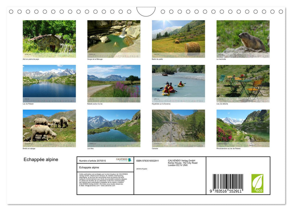 Echappée alpine (CALVENDO Calendrier mensuel 2026)