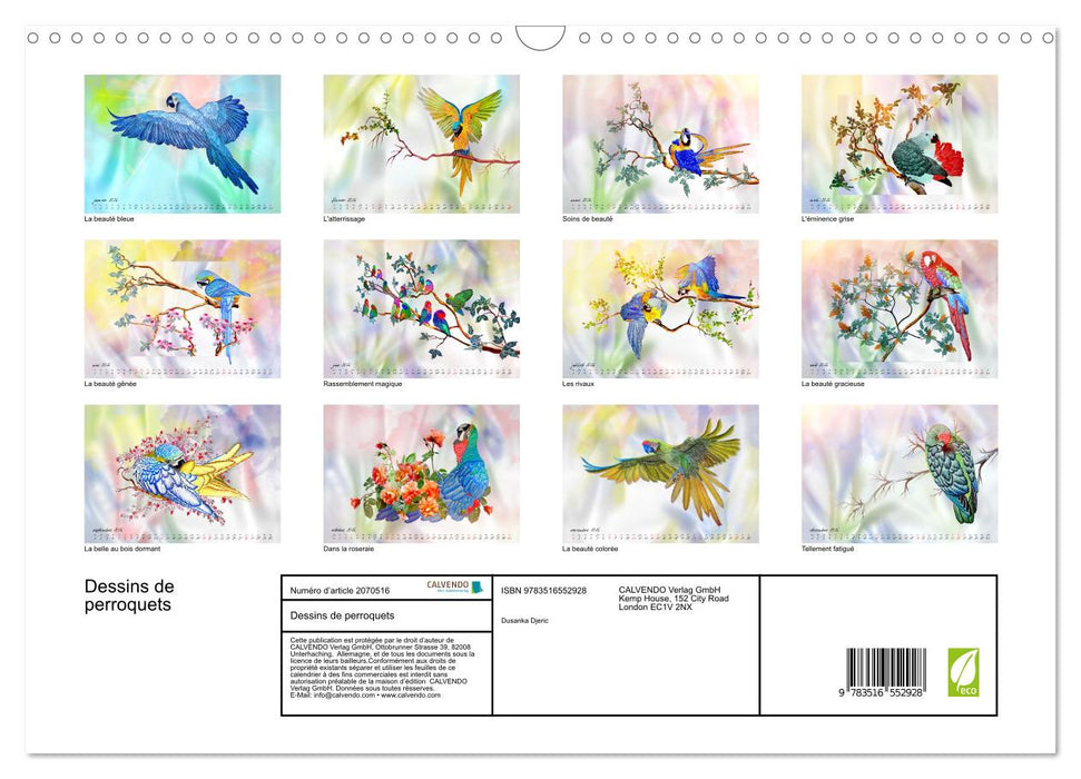 Dessins de perroquets (CALVENDO Calendrier mensuel 2026)