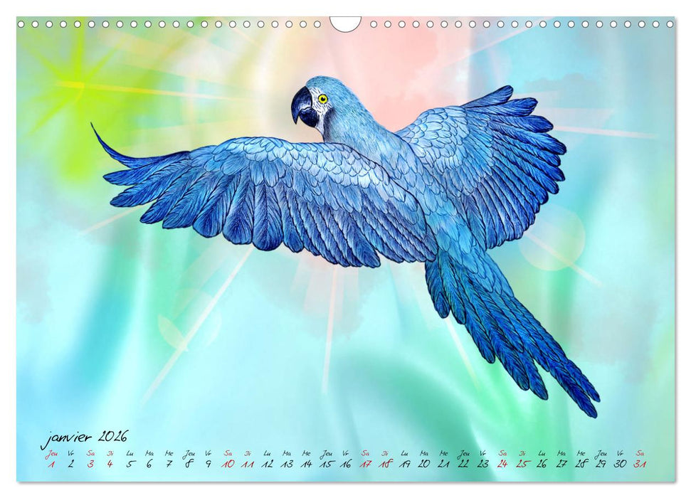 Dessins de perroquets (CALVENDO Calendrier mensuel 2026)