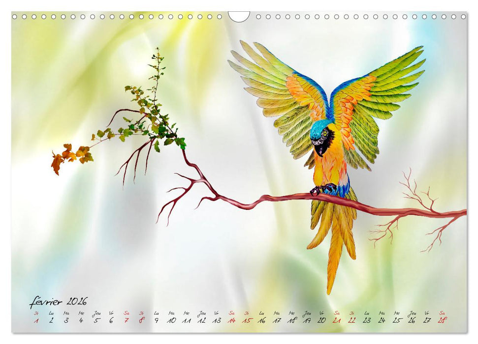 Dessins de perroquets (CALVENDO Calendrier mensuel 2026)
