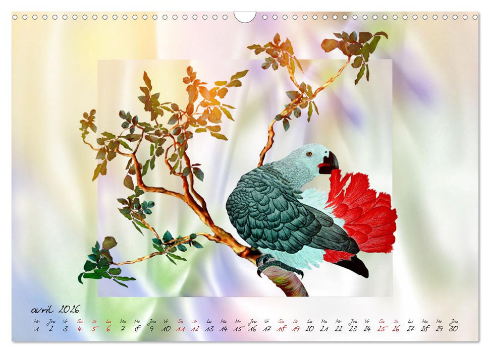 Dessins de perroquets (CALVENDO Calendrier mensuel 2026)