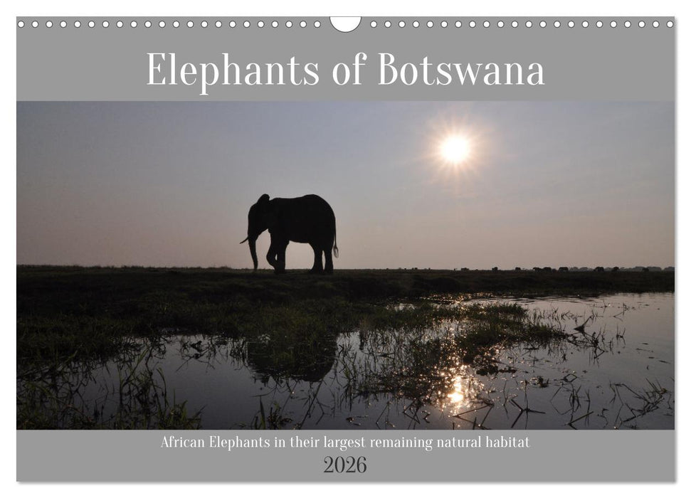 Elephants of Botswana (CALVENDO Monthly Calendar 2026)