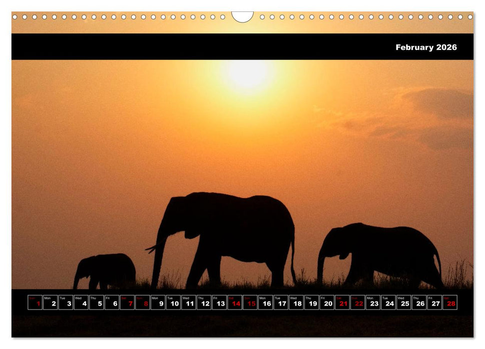Elephants of Botswana (CALVENDO Monthly Calendar 2026)