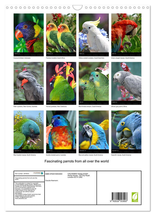 Fascinating parrots from all over the world (CALVENDO Monthly Calendar 2026)