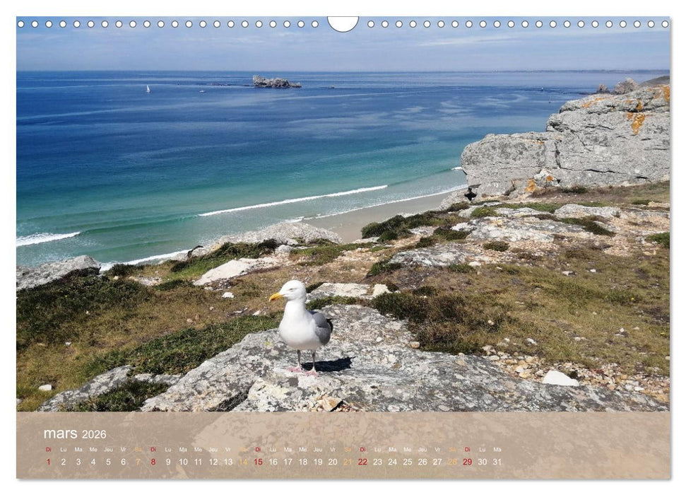 Échappée Breizh (CALVENDO Calendrier mensuel 2026)