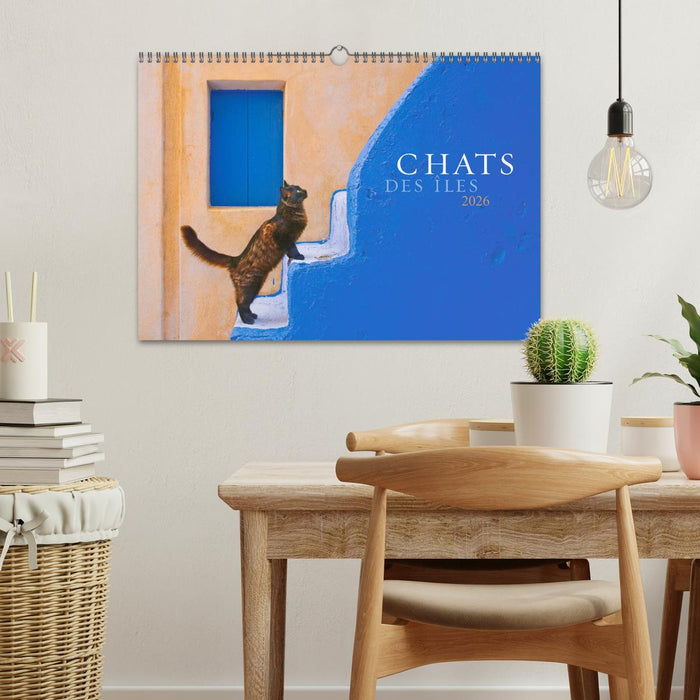 Chats des îles (CALVENDO Calendrier mensuel 2026)