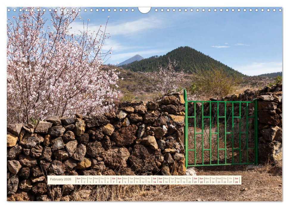 Magical Tenerife (CALVENDO Monthly Calendar 2026)