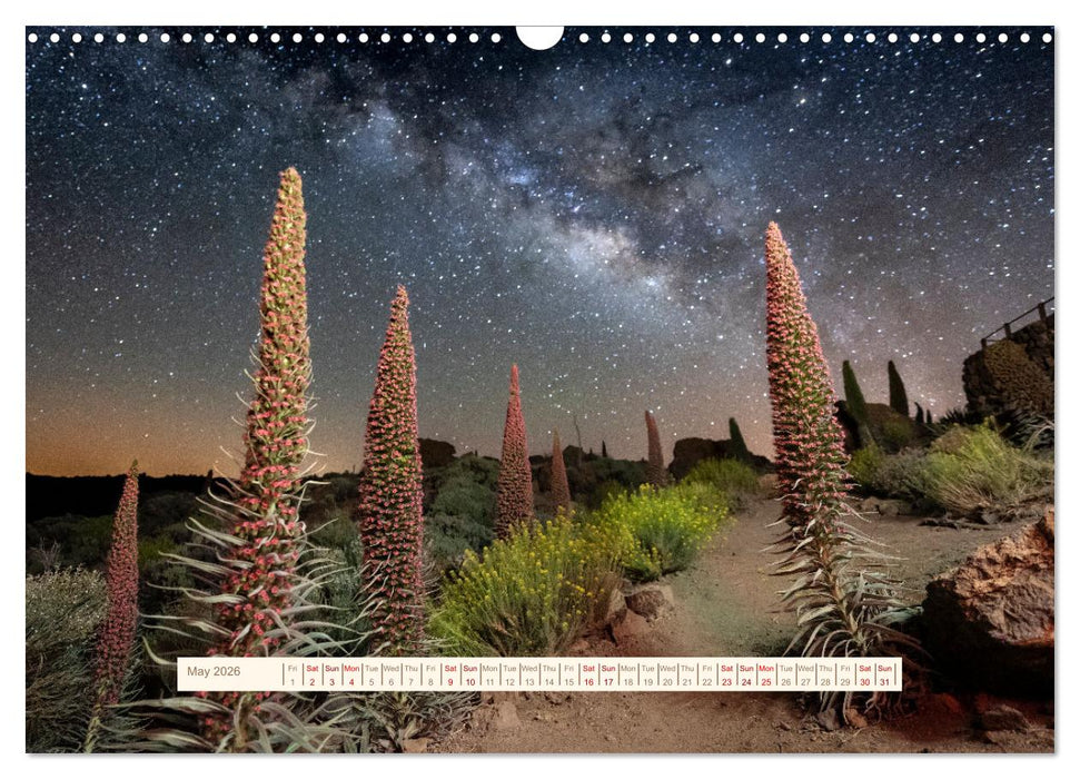 Magical Tenerife (CALVENDO Monthly Calendar 2026)