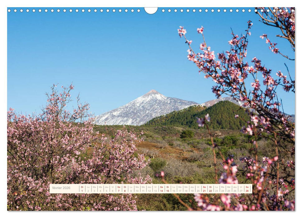 La Magie de Ténériffe (CALVENDO Calendrier mensuel 2026)