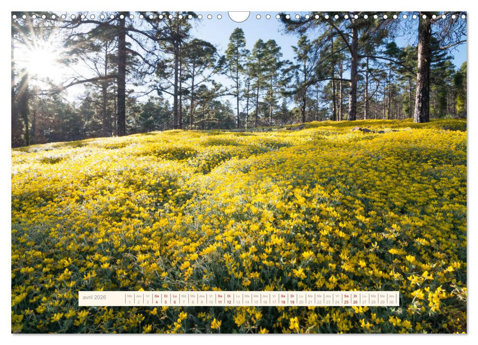 La Magie de Ténériffe (CALVENDO Calendrier mensuel 2026)