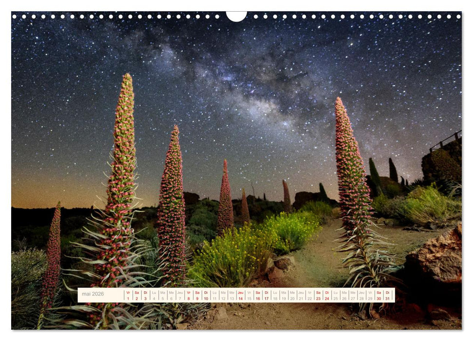 La Magie de Ténériffe (CALVENDO Calendrier mensuel 2026)