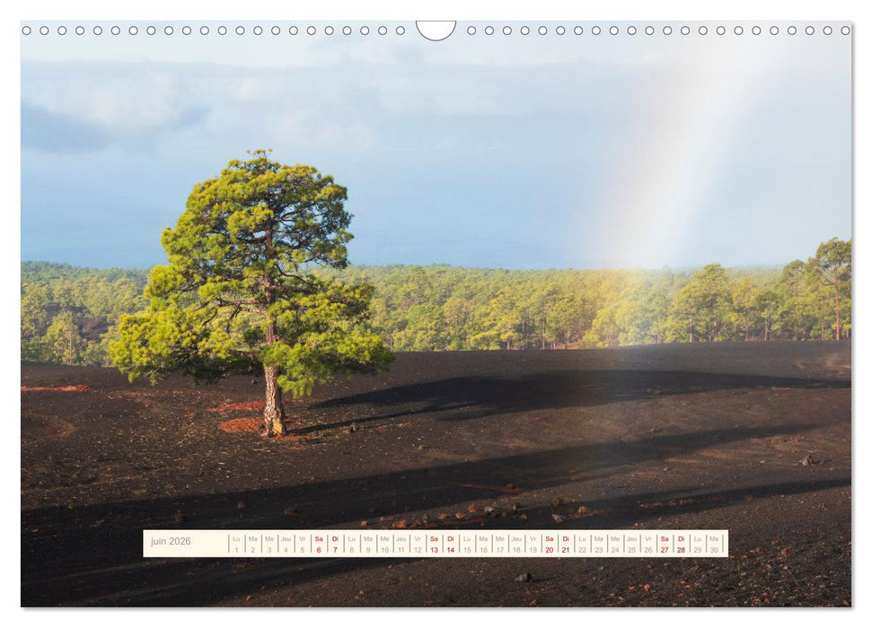 La Magie de Ténériffe (CALVENDO Calendrier mensuel 2026)