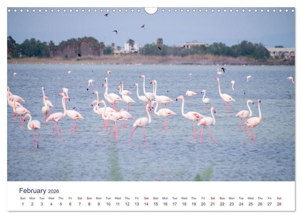 Kos Island - The Island of Hippocrates (CALVENDO Monthly Calendar 2026)
