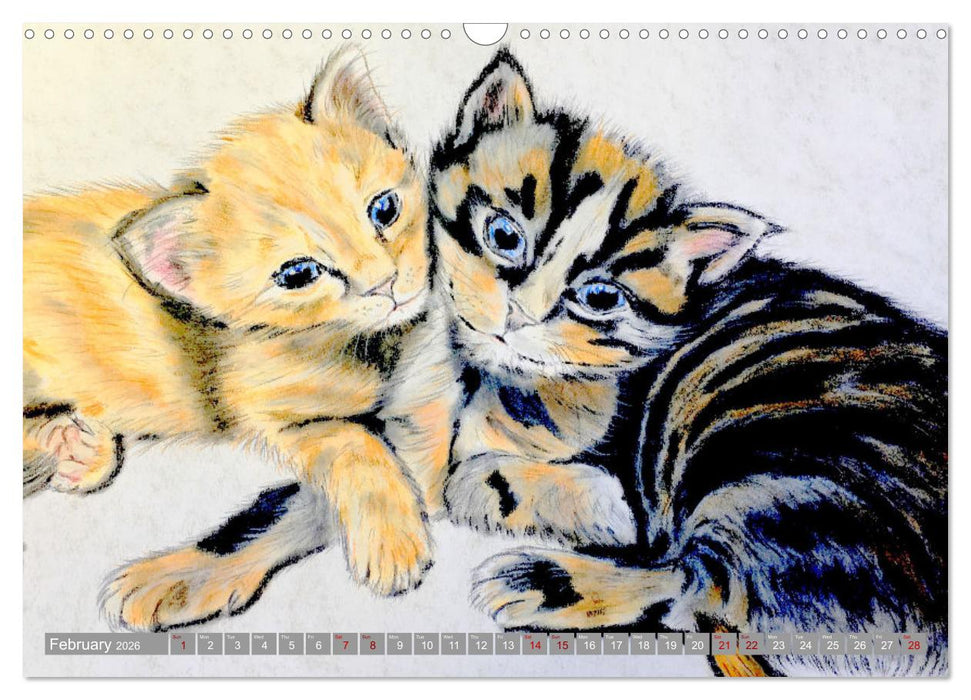 Beautiful cat portraits (CALVENDO Monthly Calendar 2026)