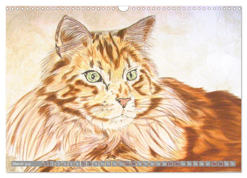Beautiful cat portraits (CALVENDO Monthly Calendar 2026)