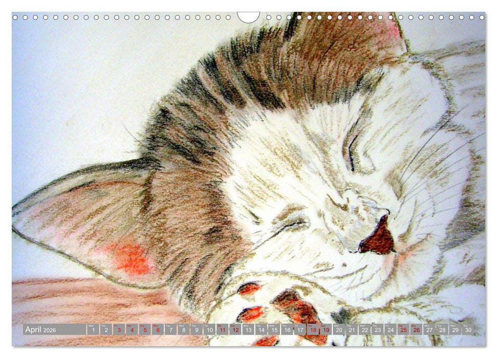 Beautiful cat portraits (CALVENDO Monthly Calendar 2026)