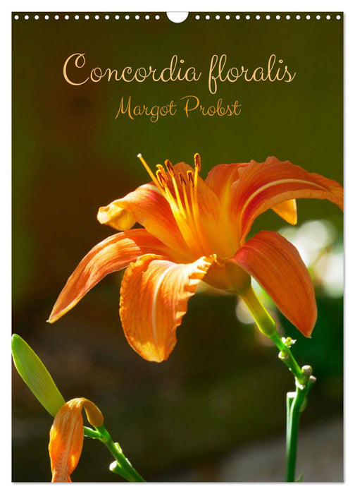 Concordia floralis (CALVENDO Calendrier mensuel 2026)