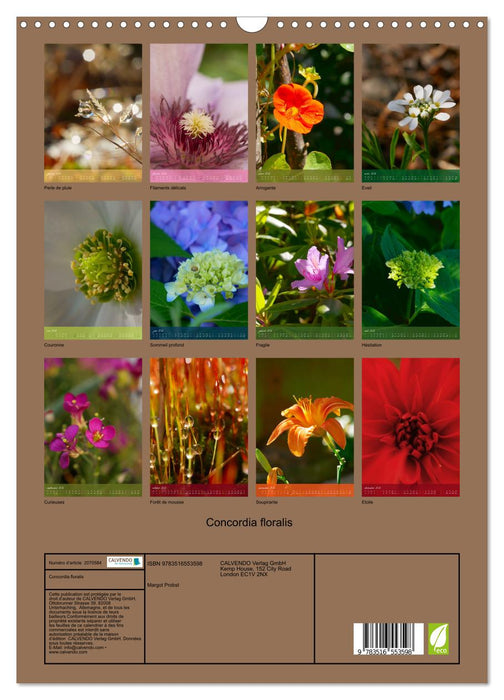 Concordia floralis (CALVENDO Calendrier mensuel 2026)