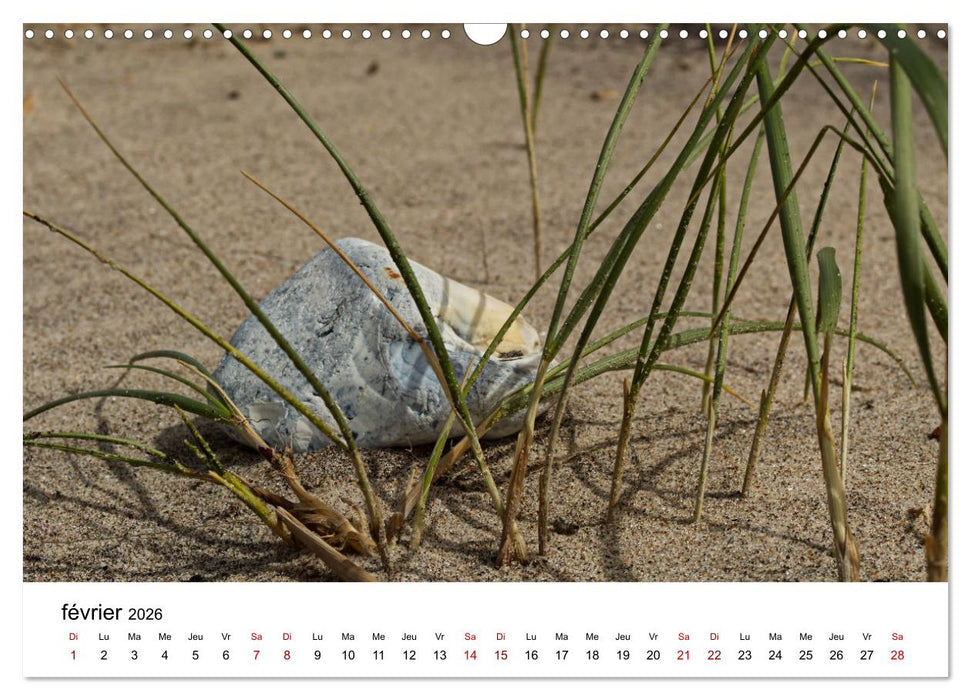 Dunes et mer - Une expérience nature (CALVENDO Calendrier mensuel 2026)