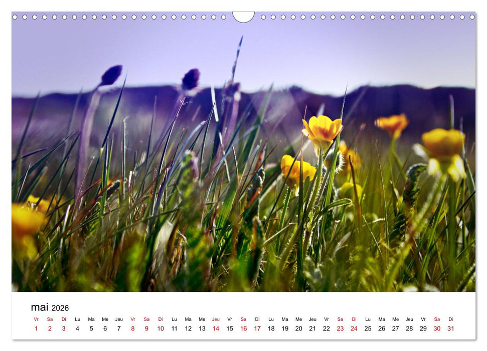 Dunes et mer - Une expérience nature (CALVENDO Calendrier mensuel 2026)