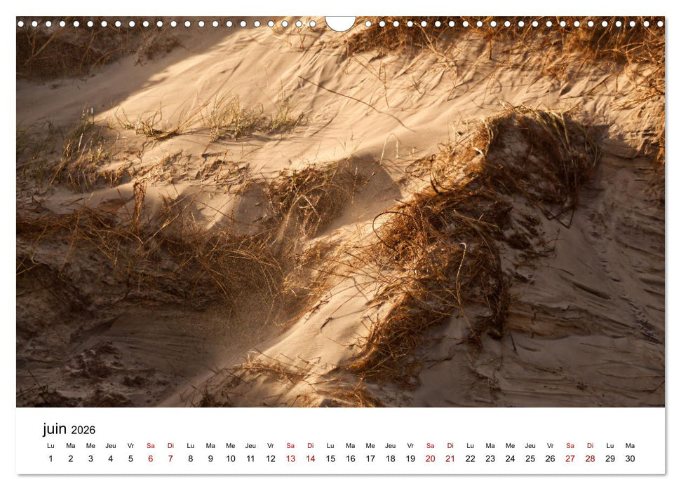 Dunes et mer - Une expérience nature (CALVENDO Calendrier mensuel 2026)