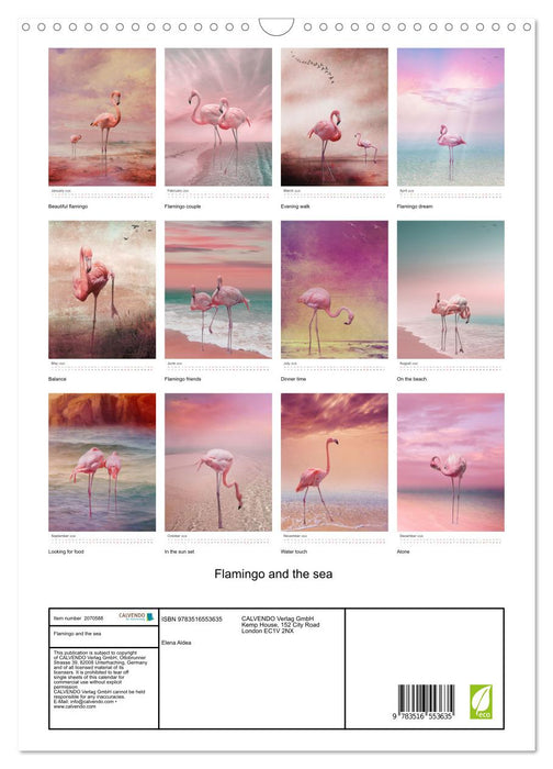 Flamingo and the sea (CALVENDO Monthly Calendar 2026)