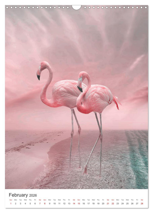 Flamingo and the sea (CALVENDO Monthly Calendar 2026)