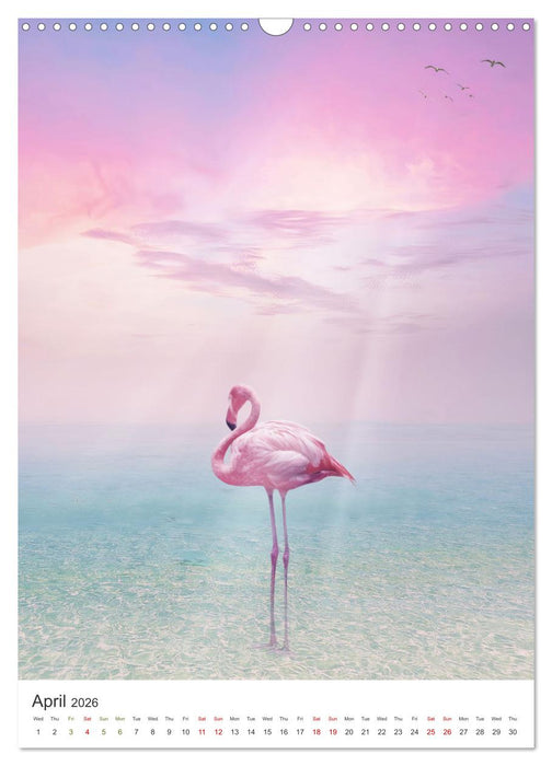 Flamingo and the sea (CALVENDO Monthly Calendar 2026)