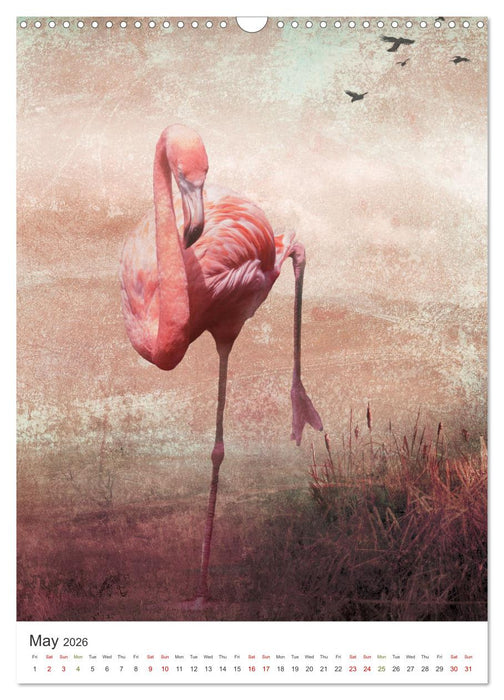 Flamingo and the sea (CALVENDO Monthly Calendar 2026)