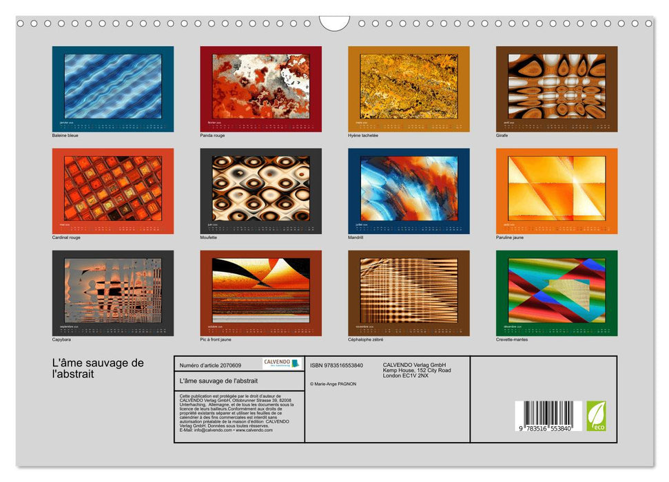 L'âme sauvage de l'abstrait (CALVENDO Calendrier mensuel 2026)
