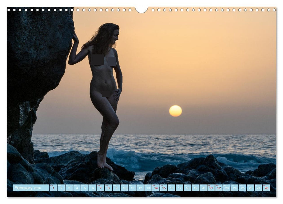 Nude on Seashores (CALVENDO Monthly Calendar 2026)