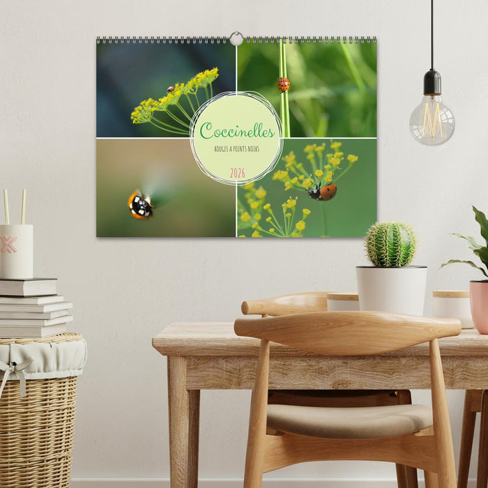 Coccinelles rouges à points noirs (CALVENDO Calendrier mensuel 2026)