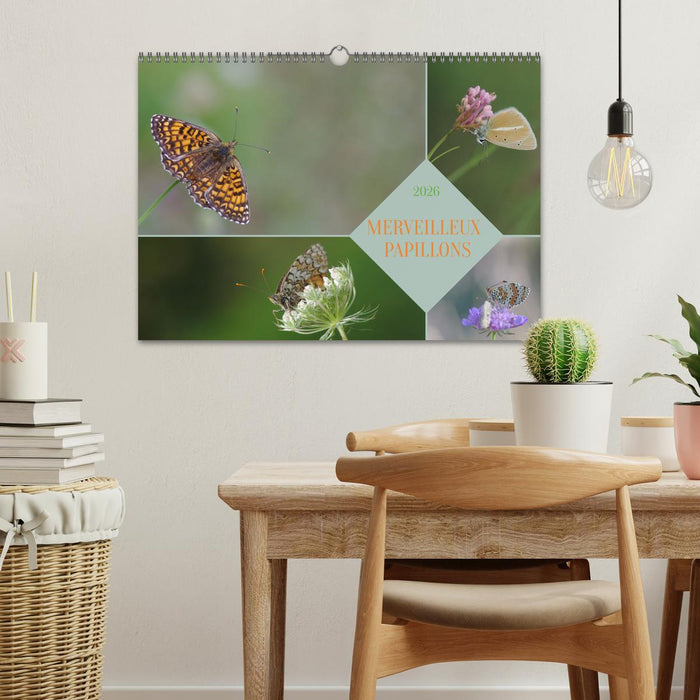 Merveilleux papillons (CALVENDO Calendrier mensuel 2026)