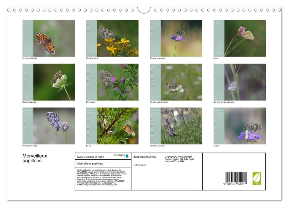 Merveilleux papillons (CALVENDO Calendrier mensuel 2026)