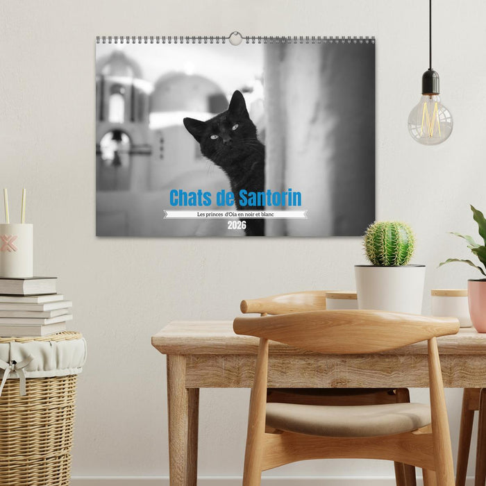 Chats de Santorin - Les princes d'Oia en noir et blanc (CALVENDO Calendrier mensuel 2026)