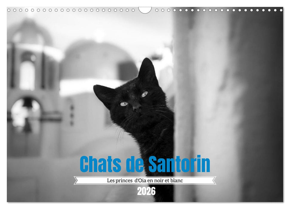 Chats de Santorin - Les princes d'Oia en noir et blanc (CALVENDO Calendrier mensuel 2026)