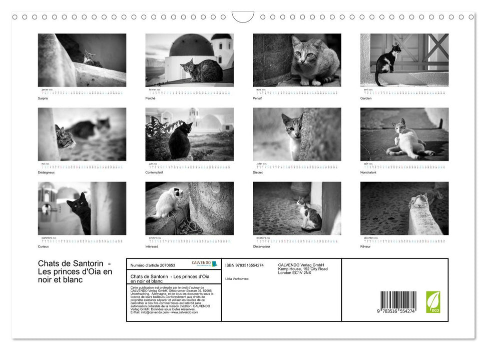 Chats de Santorin - Les princes d'Oia en noir et blanc (CALVENDO Calendrier mensuel 2026)