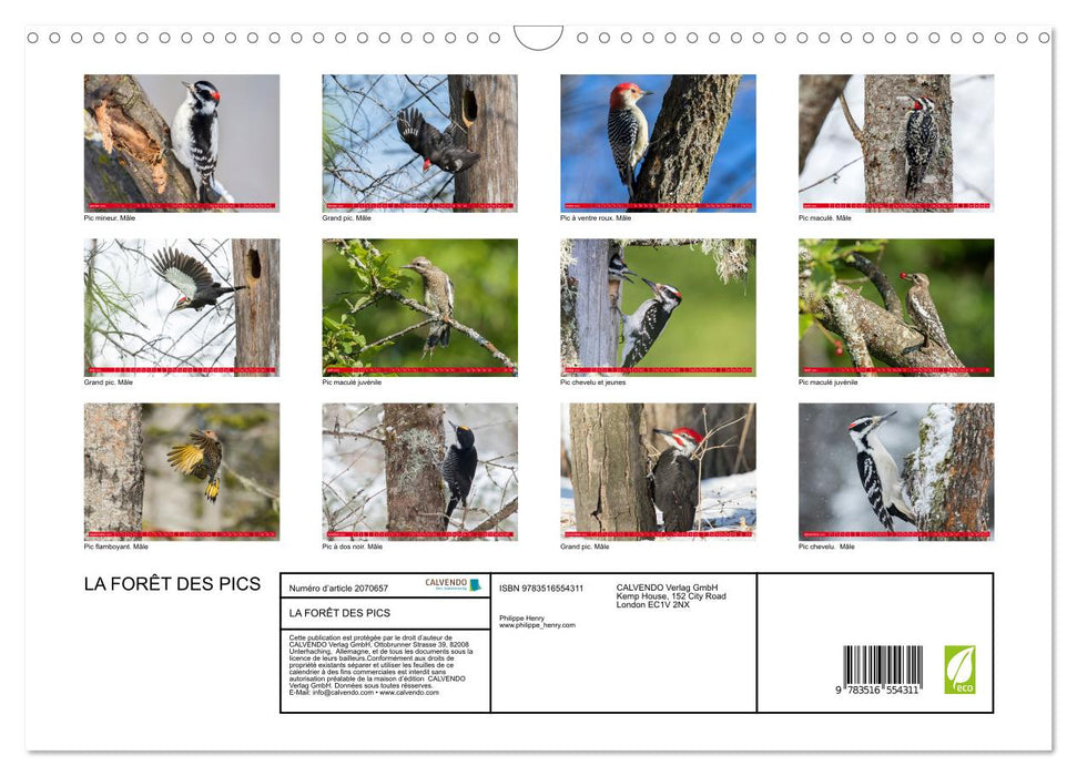 LA FORÊT DES PICS (CALVENDO Calendrier mensuel 2026)