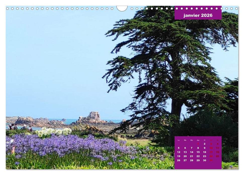 Bréhat dans tous ses états (CALVENDO Calendrier mensuel 2026)