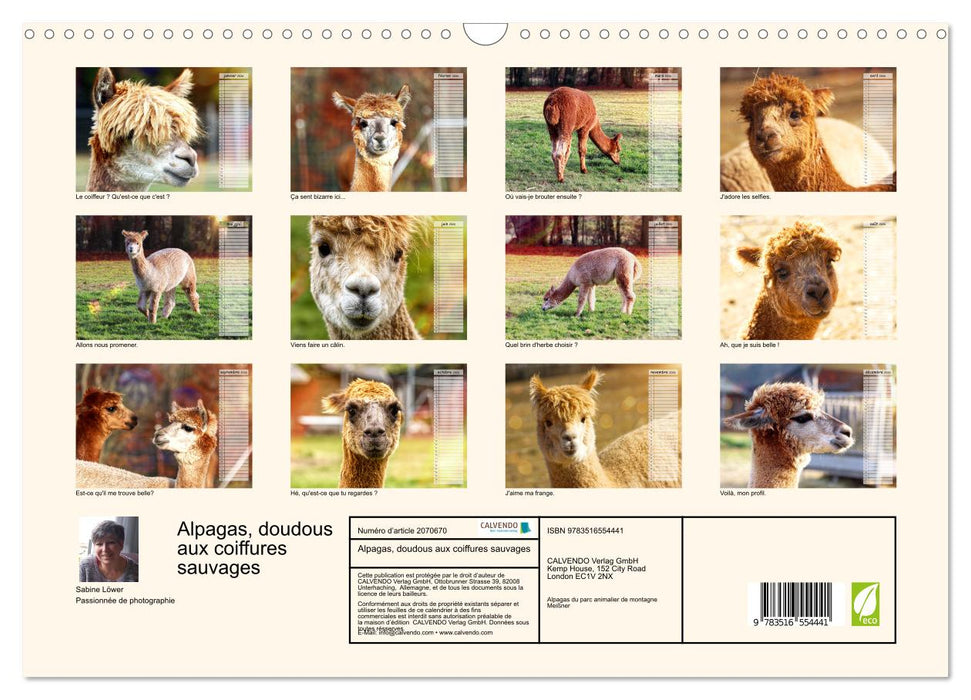 Alpagas, doudous aux coiffures sauvages (CALVENDO Calendrier mensuel 2026)