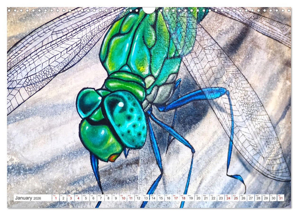 Graffiti art all over the world (CALVENDO Monthly Calendar 2026)