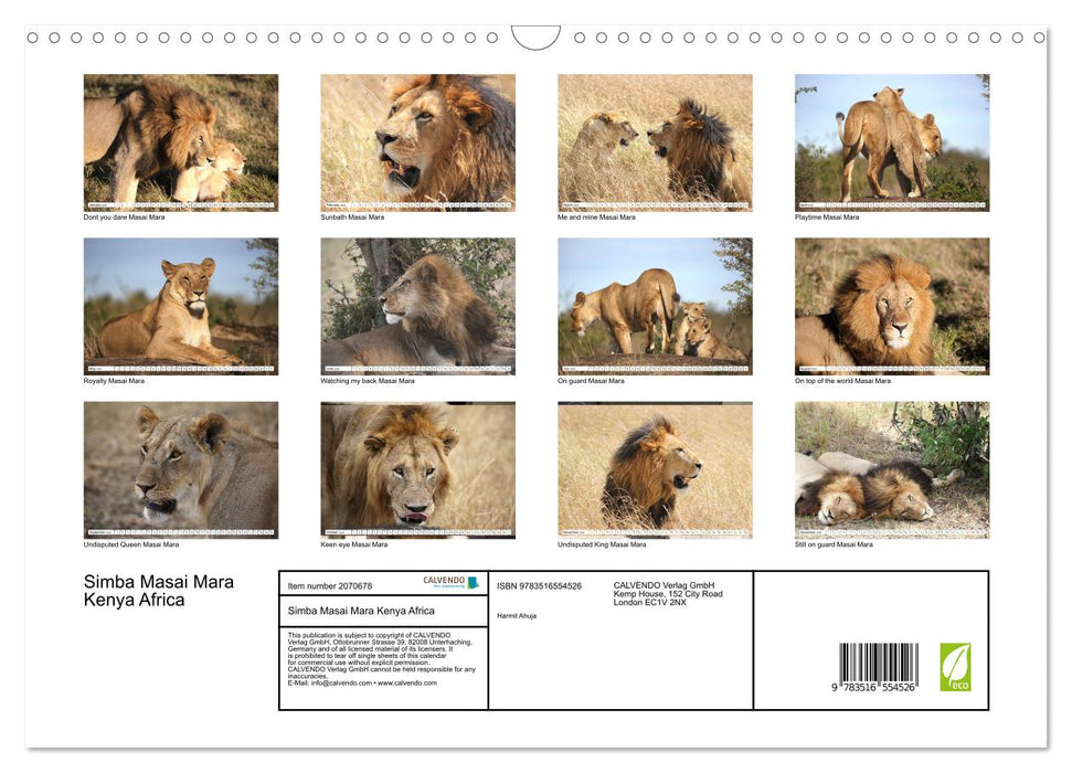 Simba Masai Mara Kenya Africa (CALVENDO Monthly Calendar 2026)