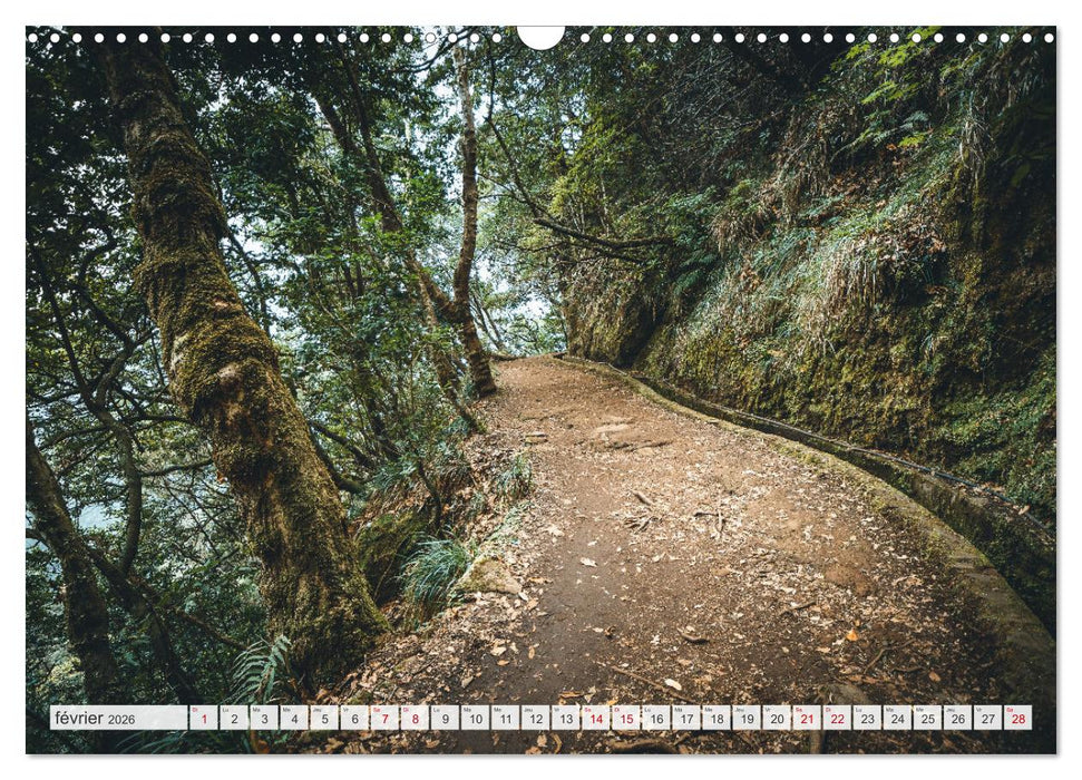 Madère - Paradis dans l’Atlantique (CALVENDO Calendrier mensuel 2026)