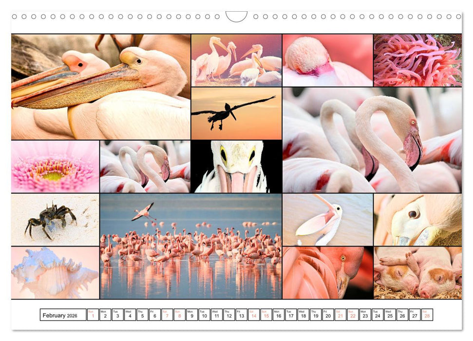 Colour Symphonies of the Earth (CALVENDO Monthly Calendar 2026)