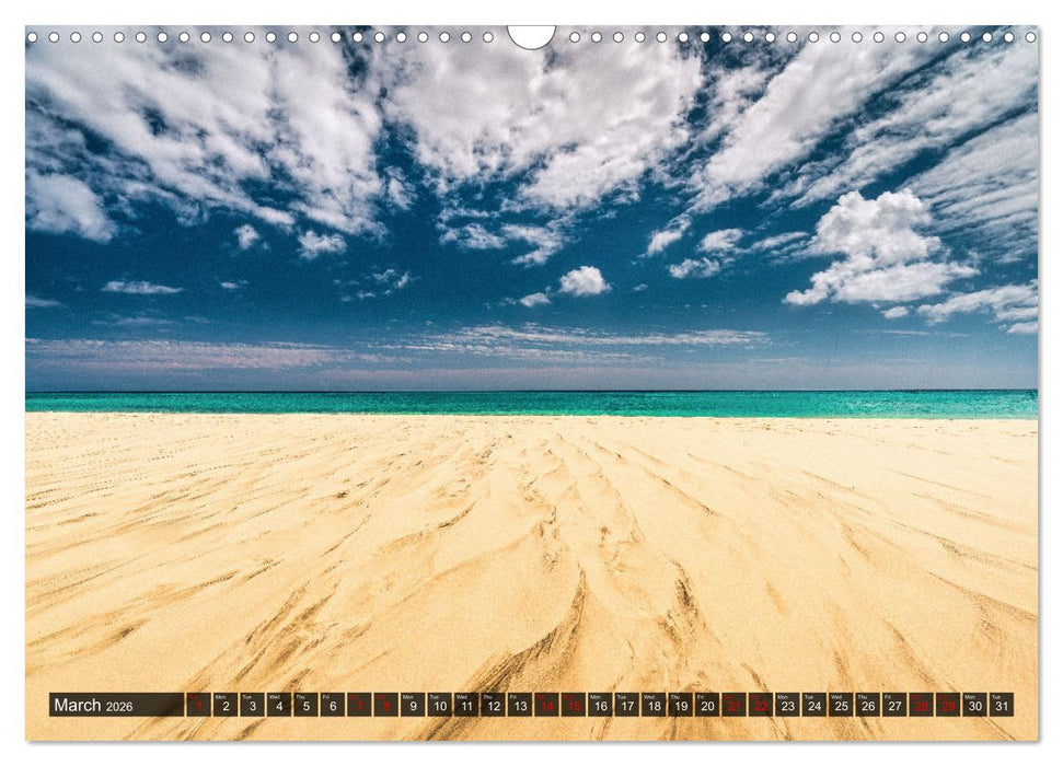 The canary islands Tenerife, Gran Canaria und Fuerteventura (CALVENDO Monthly Calendar 2026)