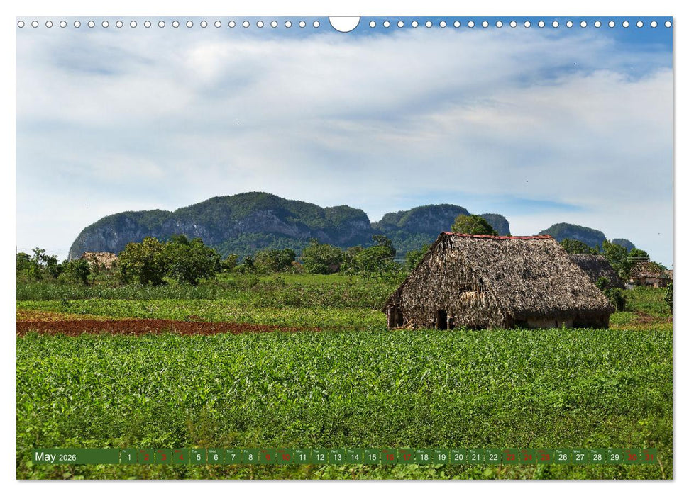 CUBA CARIBBEAN DREAM DESTINATION (CALVENDO Monthly Calendar 2026)